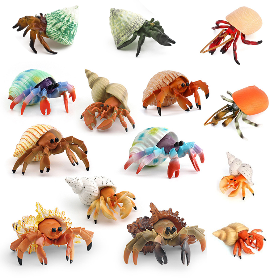 Kids Education Picture - リアルなヤドカリフィギュア耐久性のあるPVC海洋生物動物モデルフィギュア教育玩具子供幼児男の子女の子向け