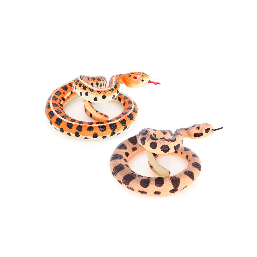 リアルな野生ダイヤモンドバックラトルスネーク（砂漠の蛇）の動 - Kids Education Picture のレビューと価格