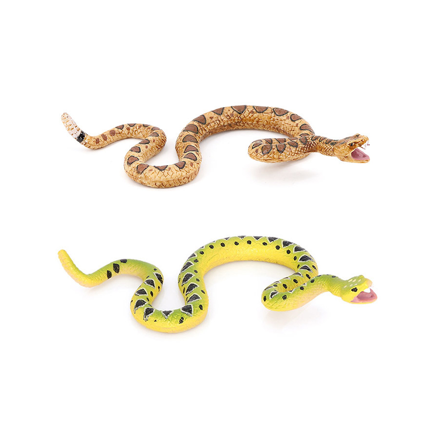 リアルな野生ダイヤモンドバックラトルスネーク（砂漠の蛇）の動 - Kids Education Picture のレビューと価格
