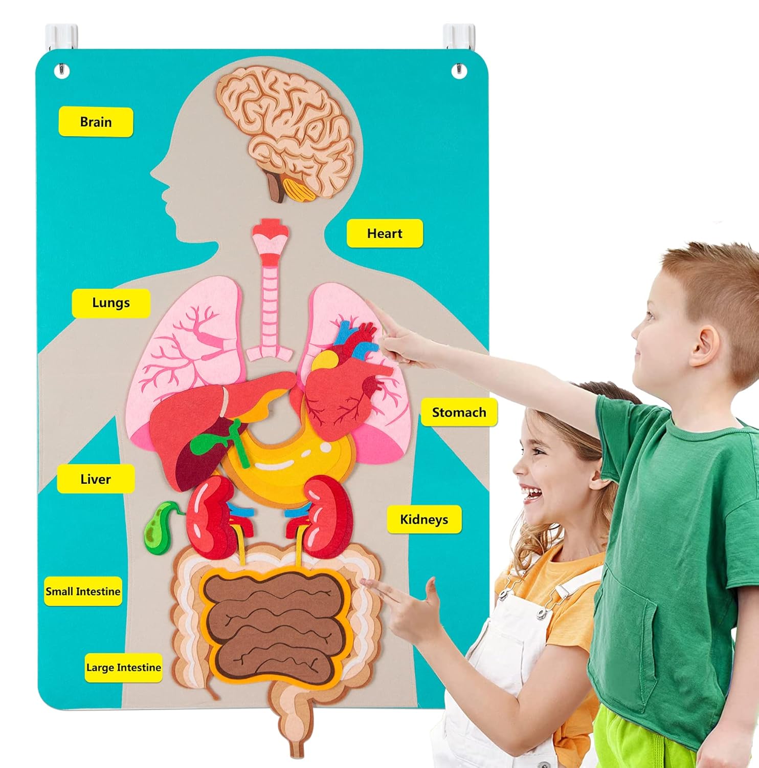人体のパーツ フェルトボード ストーリー 子供向け モンテッ - Kids Education Story のレビューと価格