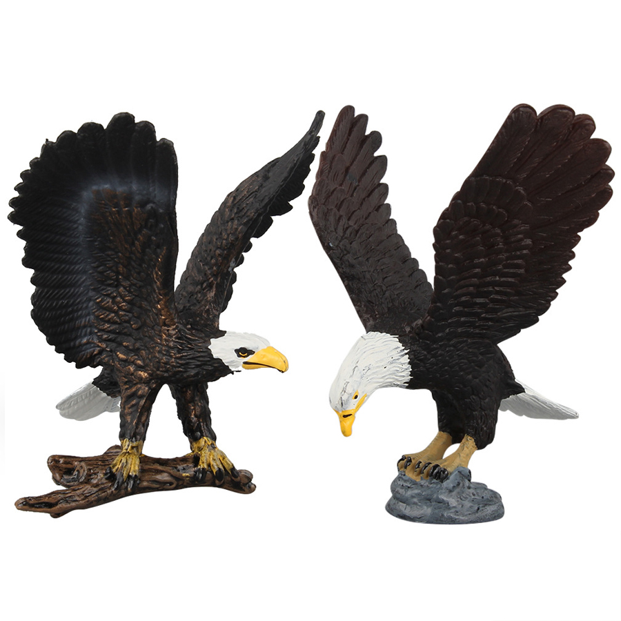 リアルな北米の動物、七面鳥、白頭ワシ、グリズリーベア、バイソ - Kids Education Picture のレビューと価格