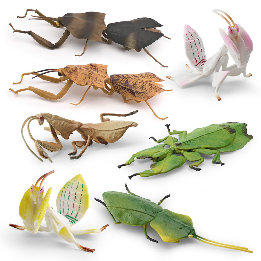 リアルな蘭マントス、枯れ葉マントス、巨大葉昆虫、バッタモデル - Kids Education Picture のレビューと価格