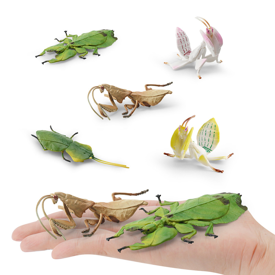 リアルな蘭マントス、枯れ葉マントス、巨大葉昆虫、バッタモデル - Kids Education Picture のレビューと価格