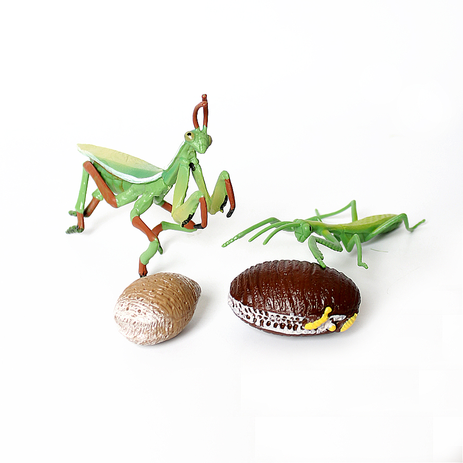 リアルな蘭マントス、枯れ葉マントス、巨大葉昆虫、バッタモデル - Kids Education Picture のレビューと価格